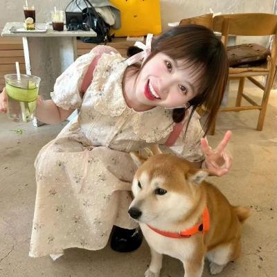 神探南茜